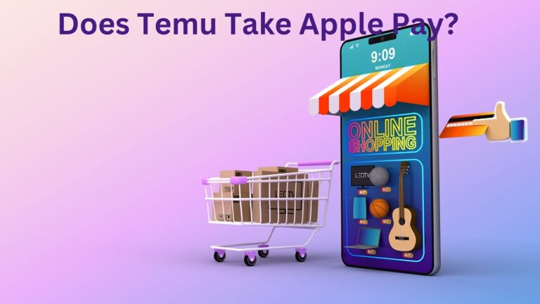 Does Temu Take Apple Pay In 2024? Know All Payment Methods!